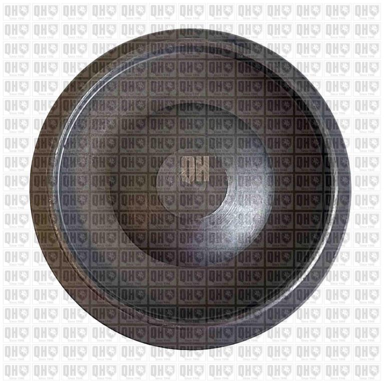 Rotule de suspension (Rotule de pivot) QUINTON HAZELL ref. QSJ3527S